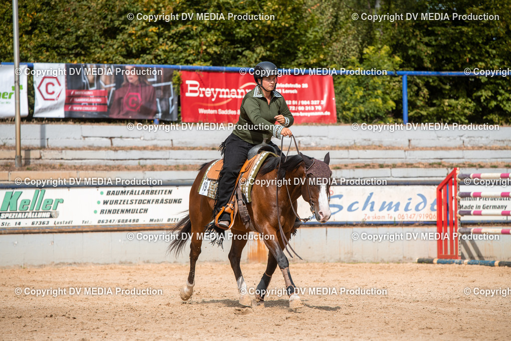 EWP_5944 | dv-media-shop - Realisiert mit Pictrs.com