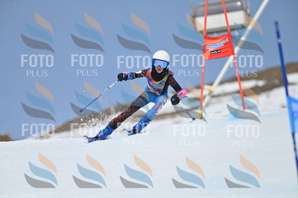 BGV_2619 | holidayphoto