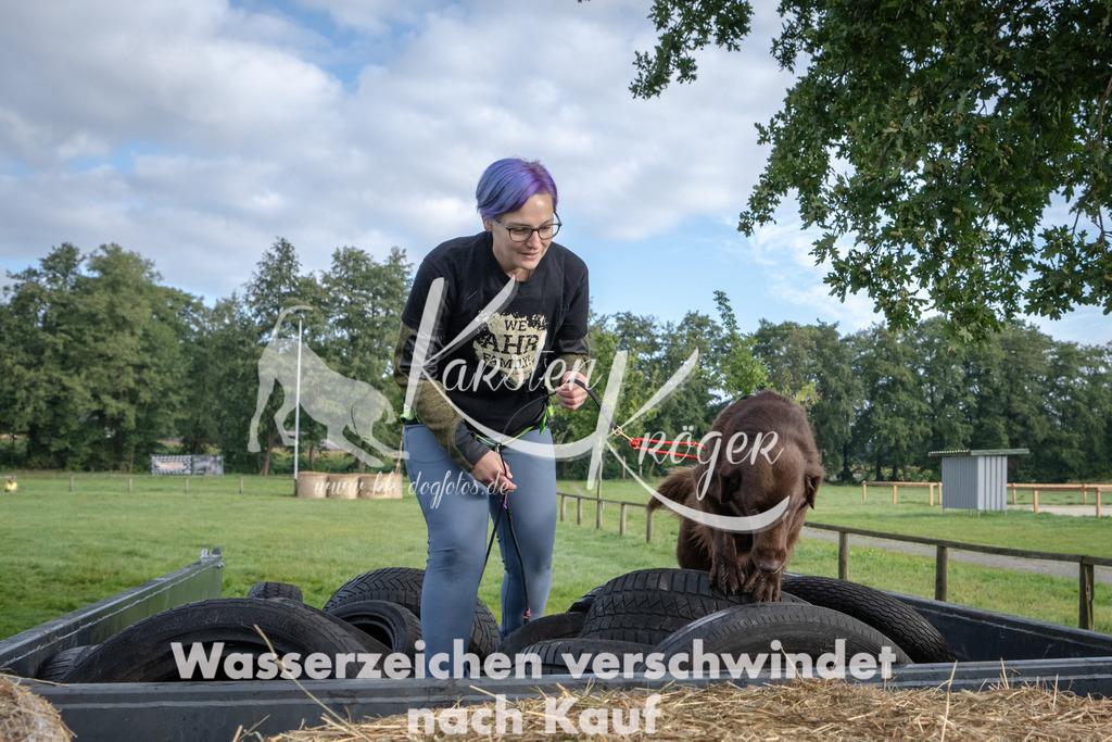 0901_ZZ94325 | kk-dogfotos