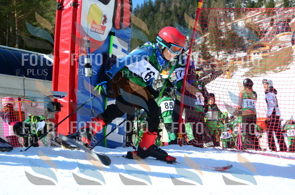 C5533 | holidayphoto