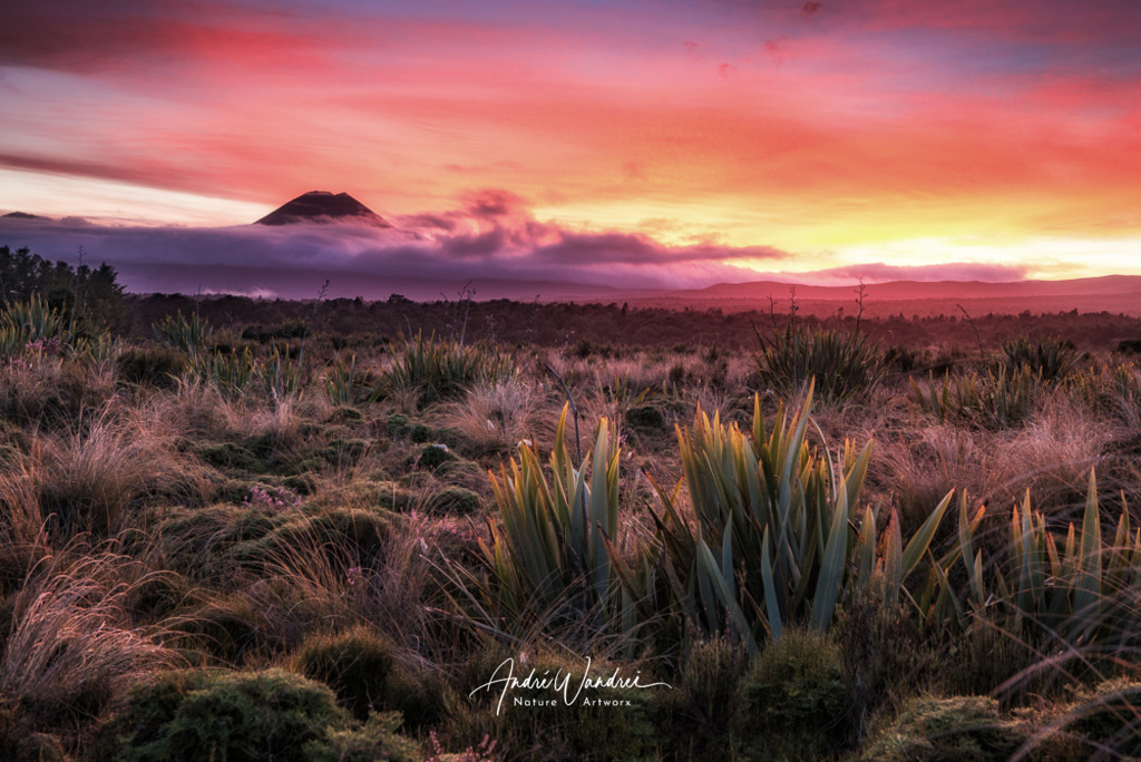 Brennender Himmel im Tongario Nationalpark | Andre Wandrei - Nature Artworx - Realisiert mit Pictrs.com