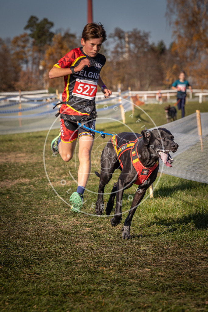 CaniXpix_0L8A7255 | Hundefotografie, Tierfotograf, Pfotenfotografie, Fotoshooting Hund, Hunde Portrait, Hundesport, Hundeportraits, Heideshooting, Hunde, Sportfotograf, Hundefotograf, Turnierhundsport, THS,  - Realisiert mit Pictrs.com