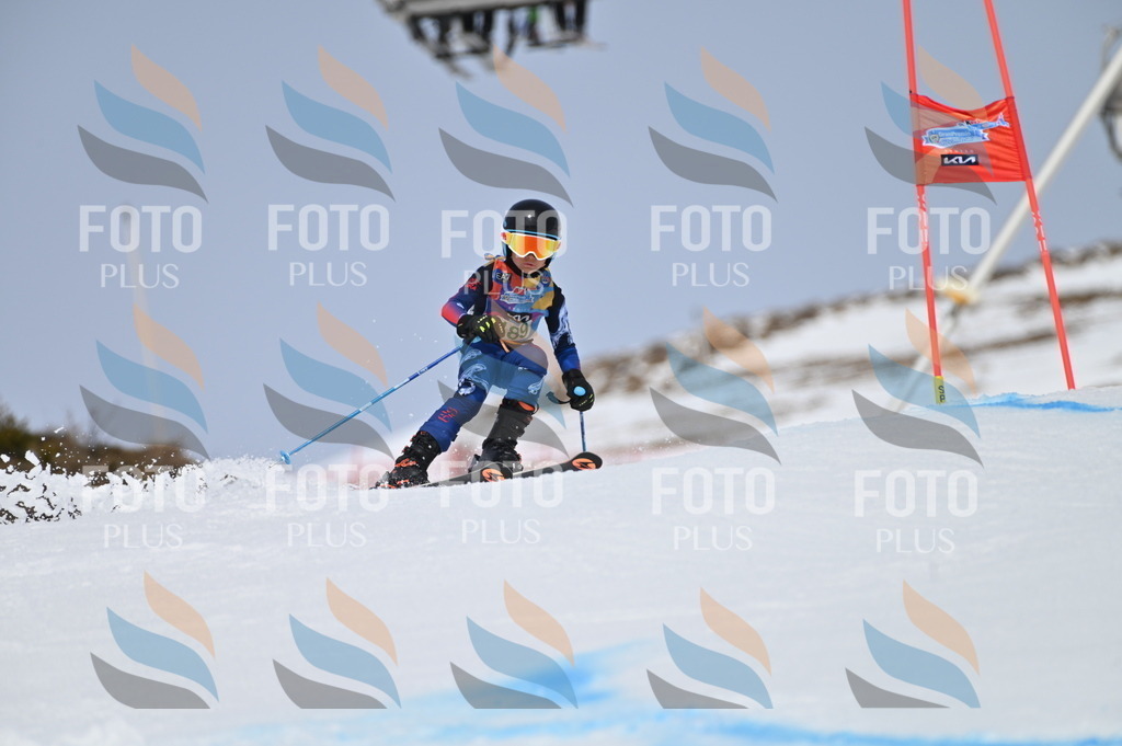 BGV_3659 | holidayphoto