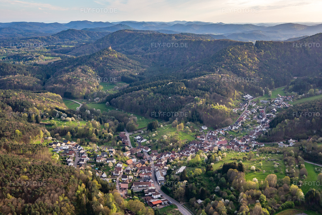 Luftbild: Ortsansicht von Nordosten in Schwanheim im Bundesland Rheinland-Pfalz in Deutschland. Foto: IMG_140148.jpg vom 11.04.2024 durch Werner Riehm/FLY-FOTO.de