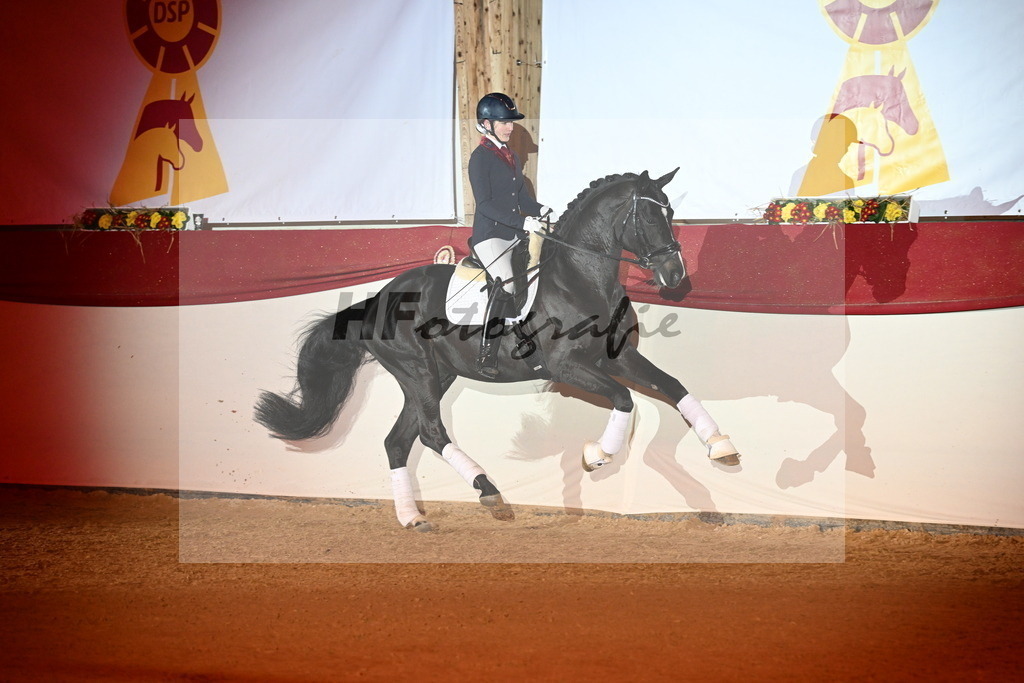 Boccacio_Fiedler_3262151 | hf-fotografie - Realisiert mit Pictrs.com