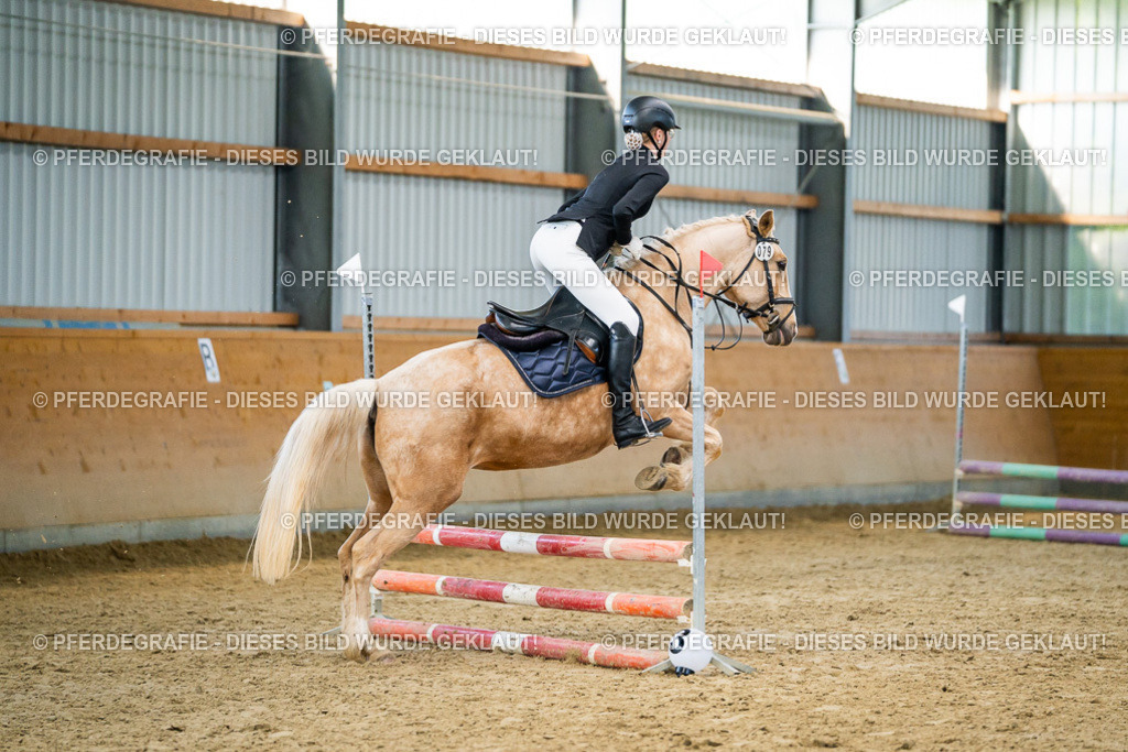 DSC00856 | Pferdegrafie