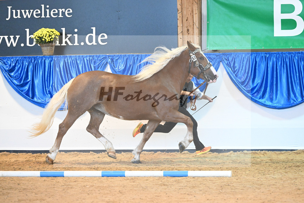 Kat-Nr. 57 Eliana W2_Waldherr_53220149 | hf-fotografie - Realisiert mit Pictrs.com