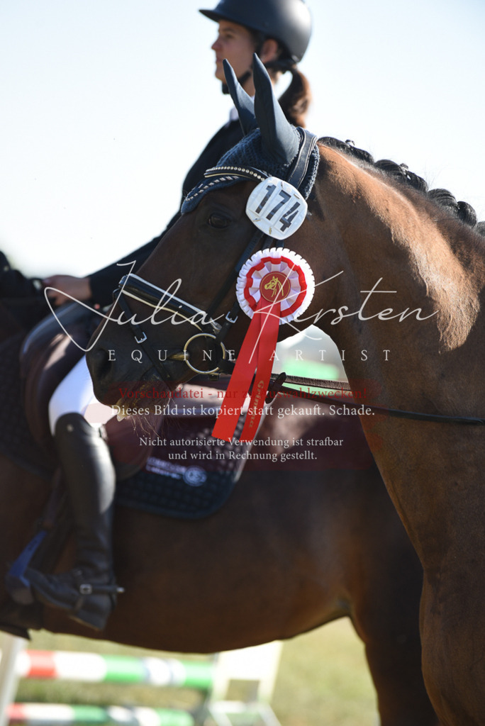 DSC_5464 | Pferde- und Turnierfotografie in Westsachsen. Pferdeportraits, Auftragszeichnungen und intuitive Kunst.