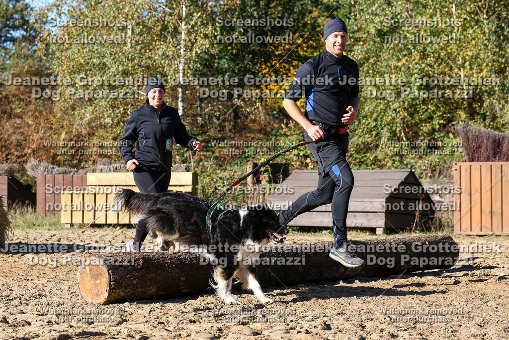 Dog Paparazzi - Strongdog 10-25-2105 | Dog Paparazzi Jeanette Grottendiek Fotografie & Videografie - Realisiert mit Pictrs.com