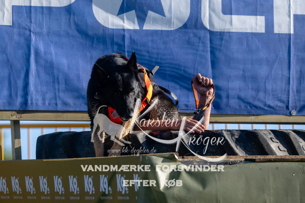 0842_ZZ94673 | kk-dogfotos