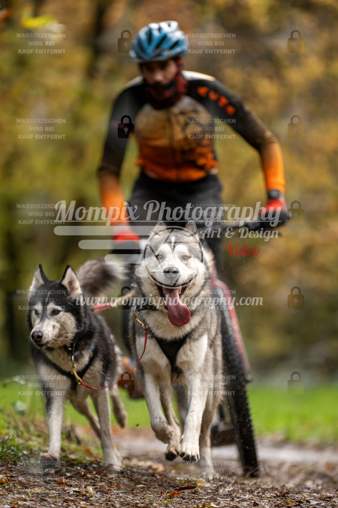 MompixPhotography_Bischwiller23_DS2-13 | mompixphotography