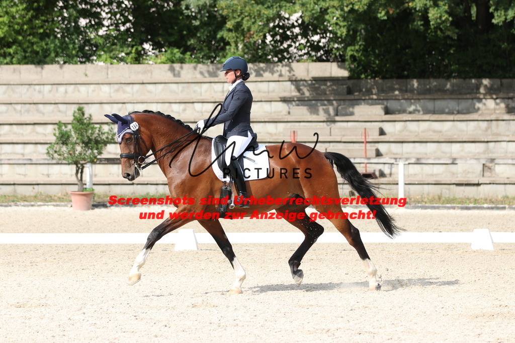 IMG_6513 | lmwpictures - Realisiert mit Pictrs.com