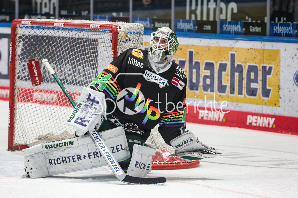 Augsburger Panther - ERC Ingolstadt | Dennis ENDRAS (AEV #44) in Aktion