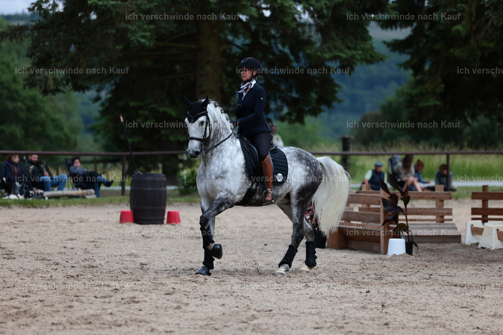 Masterclass_stoibphotography_C2_L6978.JPG | working equitationturnier fotograf videograf stoibphotography marixx film working equitation deutschland reitsport turnierfotografie eventfotografie equestrian events