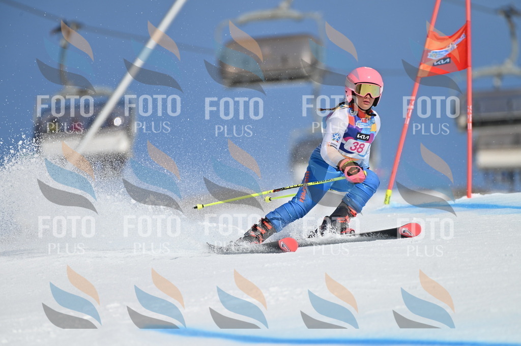 BGV_8303 | holidayphoto