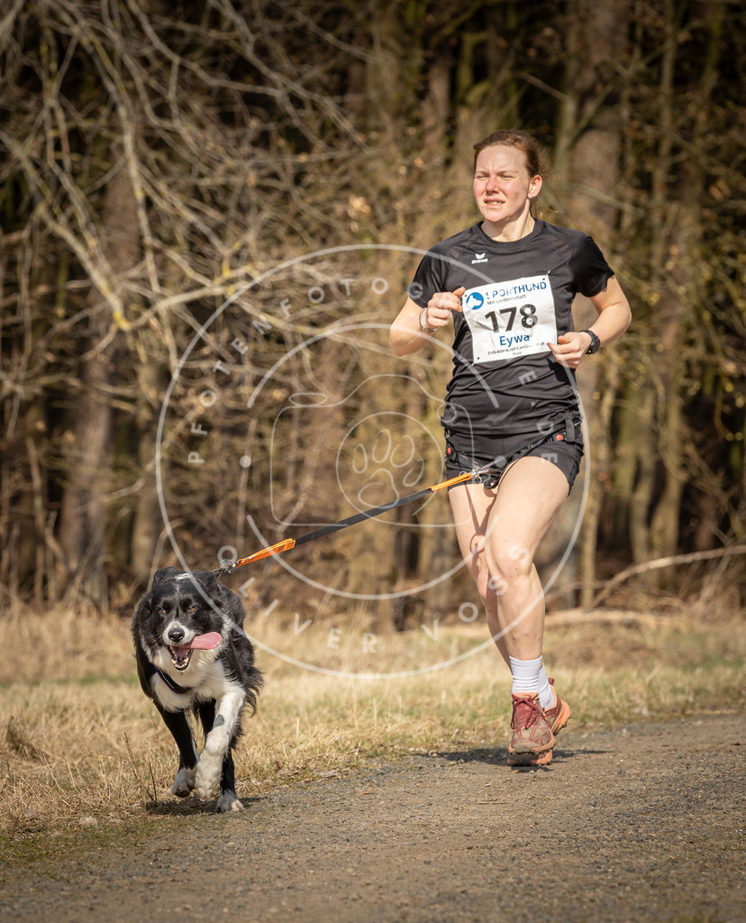 DV3A5712 | Hundefotografie, Tierfotograf, Pfotenfotografie, Fotoshooting Hund, Hunde Portrait, Hundesport, Hundeportraits, Heideshooting, Hunde, Sportfotograf, Hundefotograf, Turnierhundsport, THS,  - Realisiert mit Pictrs.com