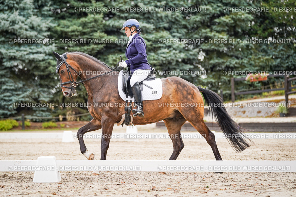 DSC02044 | Pferdegrafie