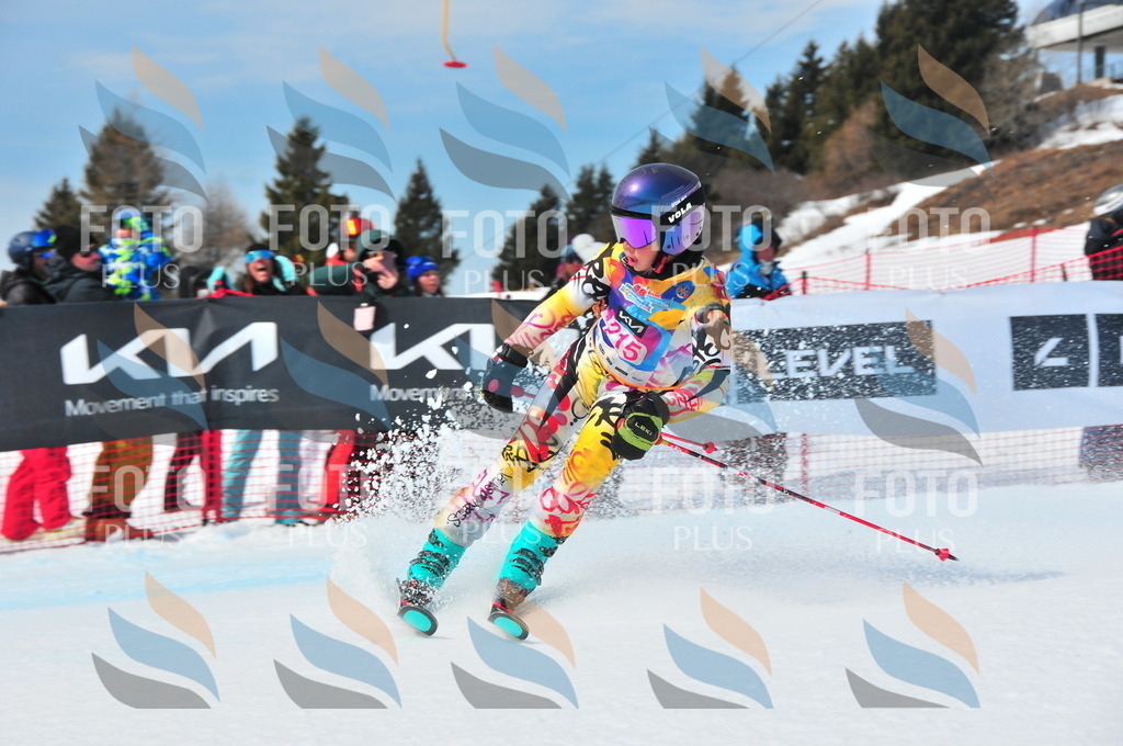 DSC_5716 | holidayphoto