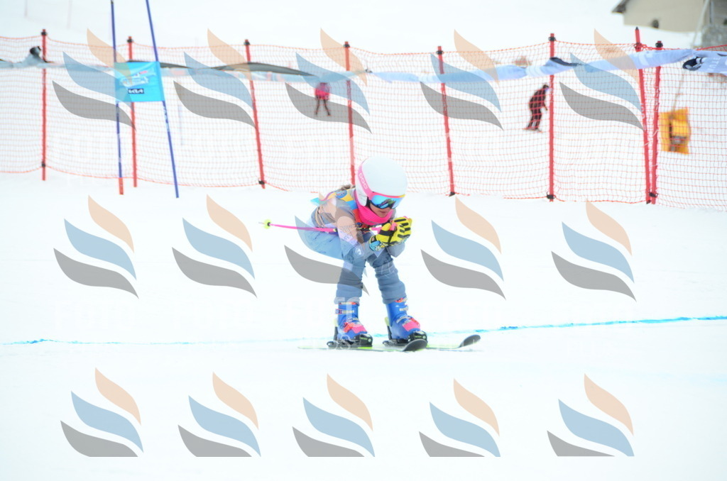 DSC_0782 | holidayphoto