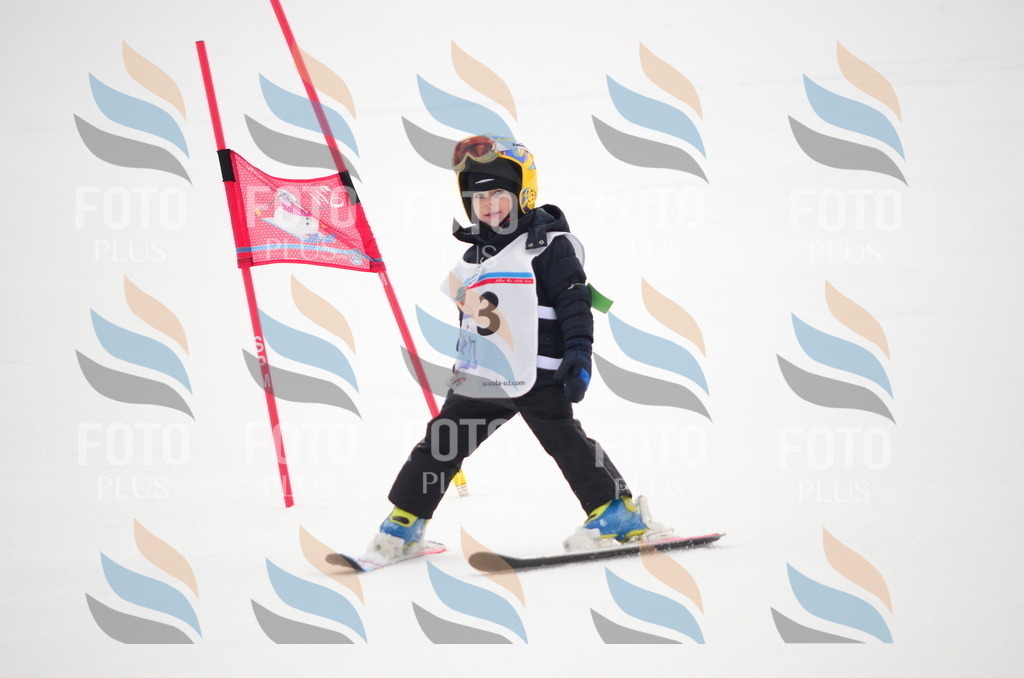 B8912 | holidayphoto