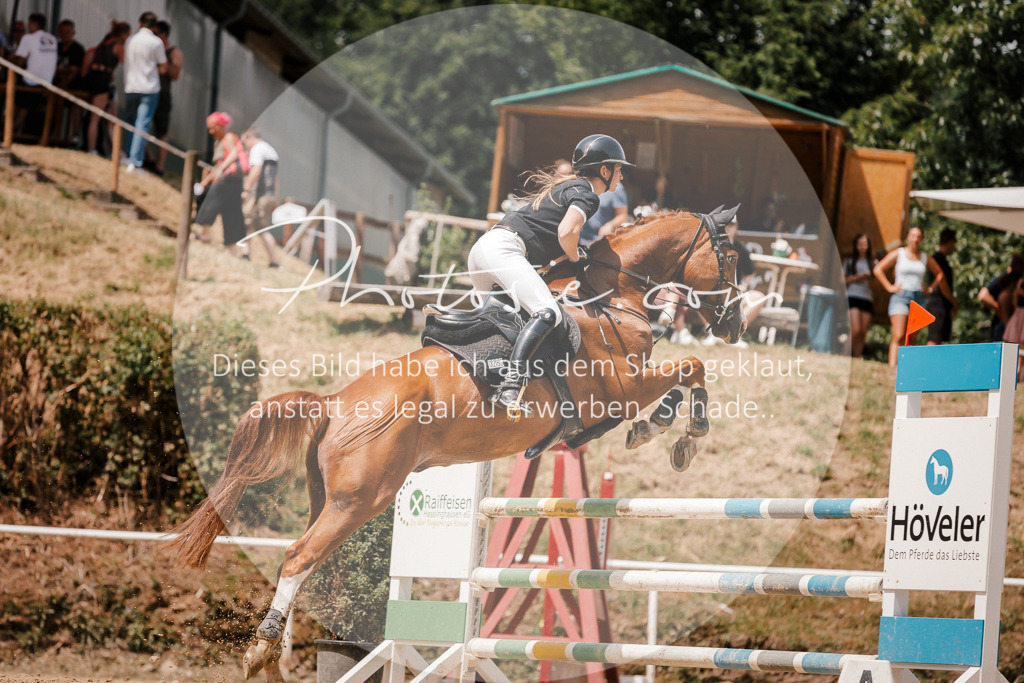 3I6A7941 | Stimmungsvolle Portraits und Reitsportfotografie im Ruhrgebiet und im Münsterland.

Pferdefotografie, Hundefotografie, Tierfotografie, Reportagen, Portraits von Tier und Mensch, Turnierfotografie in Bochum, Recklinghausen, Marl, Haltern am See, Dülmen.. - Realisiert mit Pictrs.com