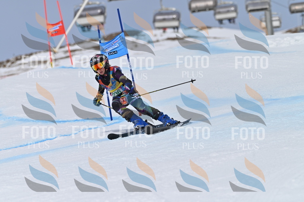 BGV_4689 | holidayphoto