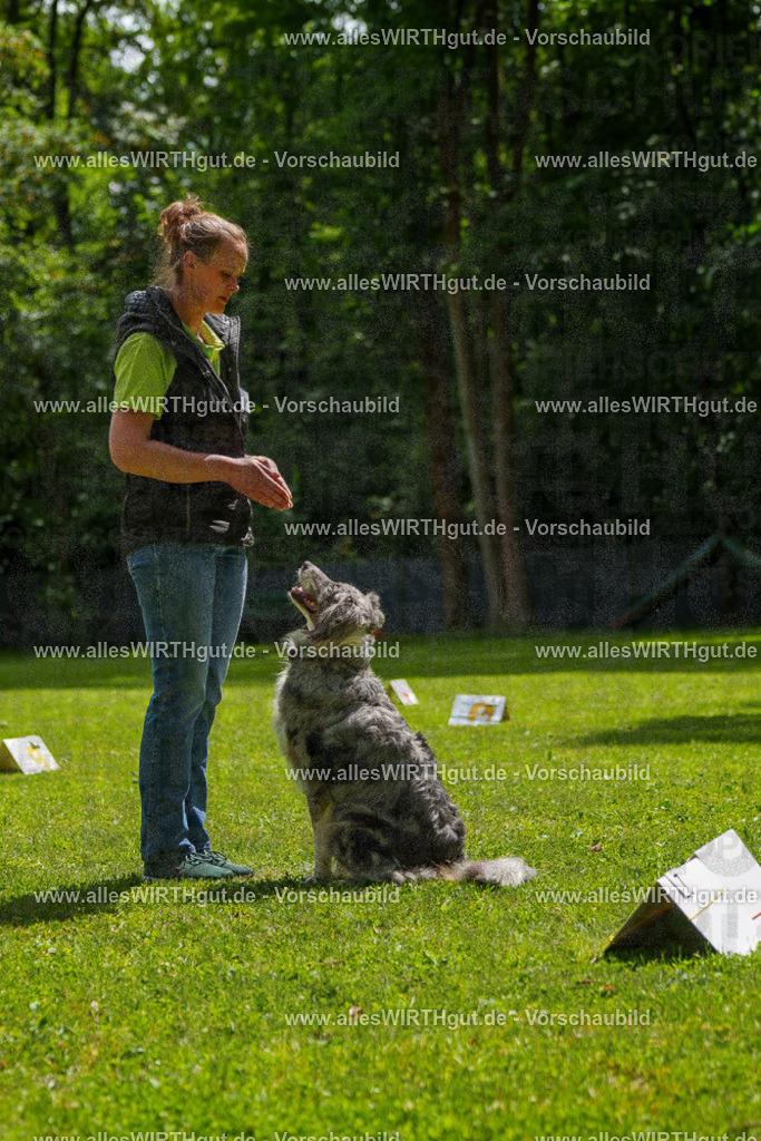 @allesWIRTHgut_Tierfotografie - www.allesWIRTHgut.de - 7R505883 | Professionelle Tierfotografie in Mönchengladbach von Daniel Wirth (allesWIRTHgut). Liebevolle & natürliche Bilder von Hunden & Katzen für unvergessliche Erinnerungen.