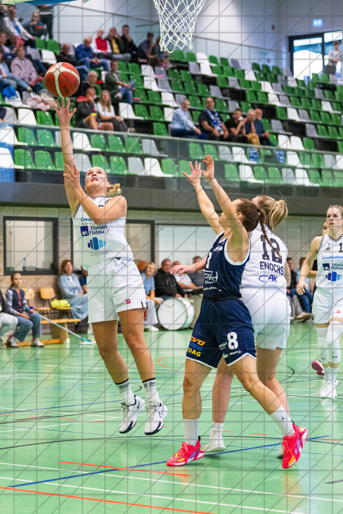 DBBL Pokal 25/26 | Runde 02 | BBC Osnabrück vs. New Basekets Oberhausen | //  21.09.25: DBBL Pokal 25/26 | Runde 02 | BBC Osnabrück vs. New Basekets Oberhausen / Osnabrück / Deutschland  //   CREDIT:www.bullenfotos.de, Martin König, Hörner Weg 40, D-49078 Osnabrück, +4917663732967 // Nutzung und Weitergabe nur zu den vereinbarten Zwecken. Presseanfragen an Ersteller. Alle Rechte beim Ersteller. Honorierung nach MFM. - Realisiert mit Pictrs.com