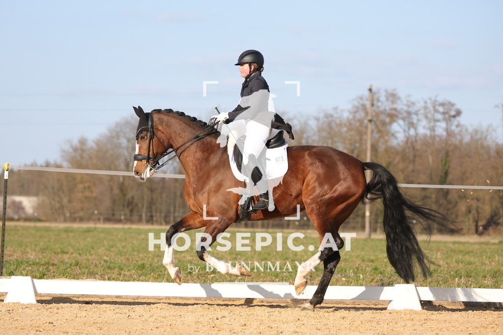 0P6A8121 | Willkommen bei Brunnmayr - Design & Fotografie – Ihrem Spezialisten für Reitturniere und Pferdeveranstaltungen in Oberösterreich, Salzburg und Bayern! Seit über 17 Jahren sind wir leidenschaftlich dabei.