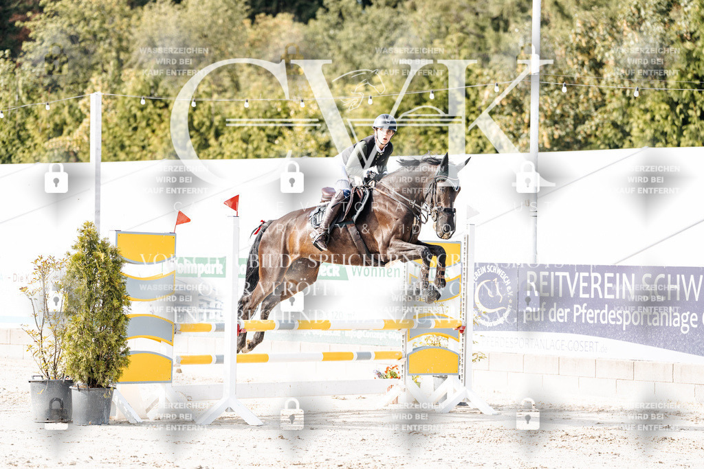 CK905524 | Turnierfotografie Pferdefotografie Trier Rheinland-Pfalz Pferdesport Reitsport Tierfotografie Sportfotografie Pferdevideo Pferdevideografie Equestrianvideography equestrianphotography  - Realisiert mit Pictrs.com