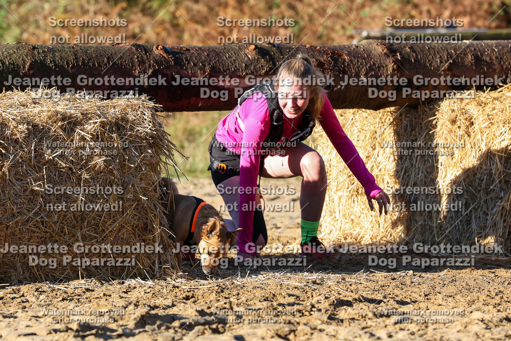 Dog Paparazzi - Strongdog 10-25-1281 | Dog Paparazzi Jeanette Grottendiek Fotografie & Videografie - Realisiert mit Pictrs.com