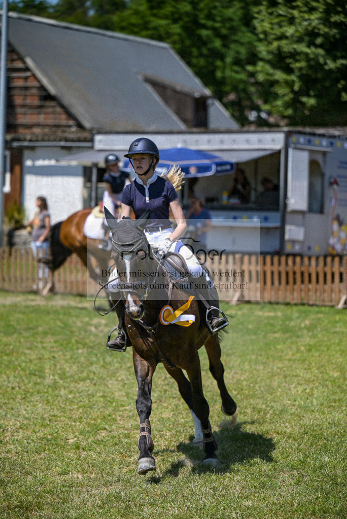 Reitturnier Voxtrup | Entdecke hochwertige Reitturnierfotos von Foto Oger. Professionell, emotional und authentisch – jetzt Lieblingsmomente im Shop bestellen.Deutschlandweite Turnierfotografie. - Realisiert mit Pictrs.com