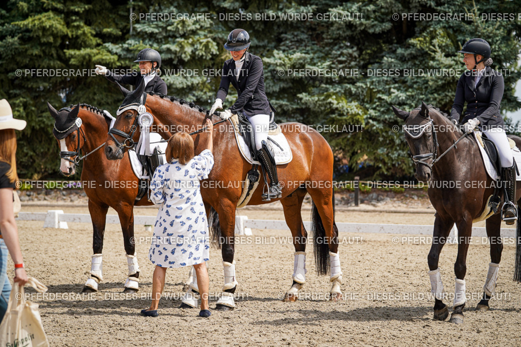 DSC09664 | Pferdegrafie