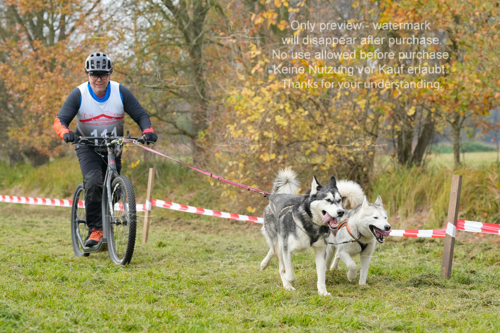 Visbeck_Sa_DS2DR2-139 | stephaniefillaphotographie - Realisiert mit Pictrs.com