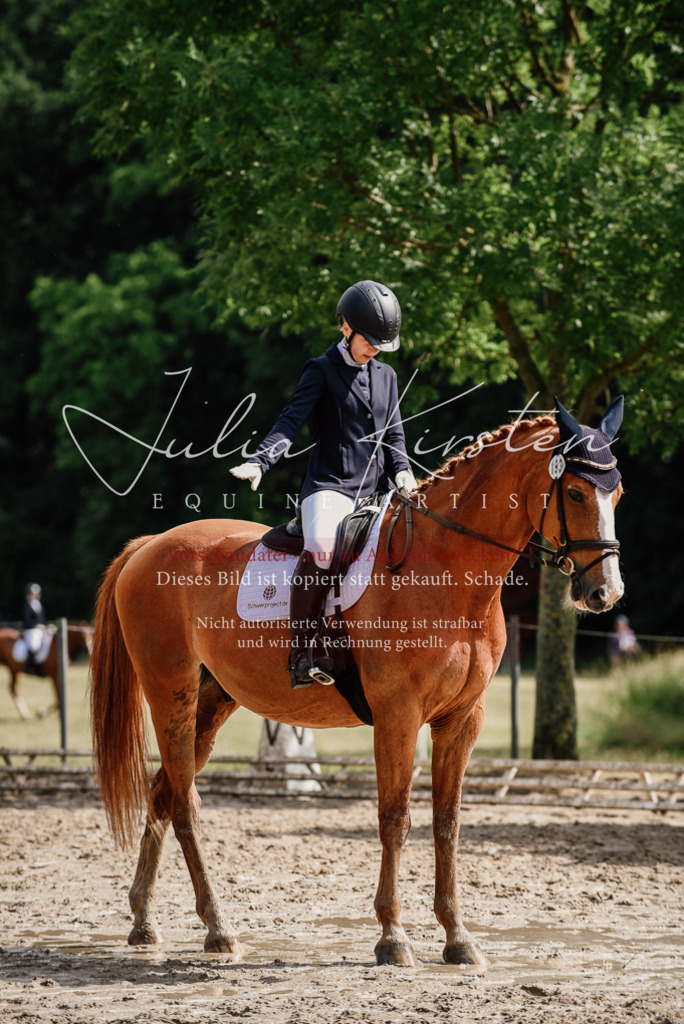 DSC_9982 | Pferde- und Turnierfotografie in Westsachsen. Pferdeportraits, Auftragszeichnungen und intuitive Kunst.