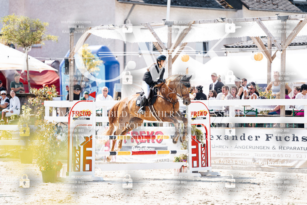 CK908832 | Turnierfotografie Pferdefotografie Trier Rheinland-Pfalz Pferdesport Reitsport Tierfotografie Sportfotografie Pferdevideo Pferdevideografie Equestrianvideography equestrianphotography  - Realisiert mit Pictrs.com