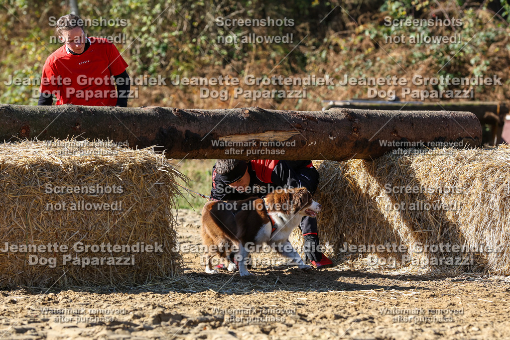 Dog Paparazzi - Strongdog 10-25-2796 | Dog Paparazzi Jeanette Grottendiek Fotografie & Videografie - Realisiert mit Pictrs.com
