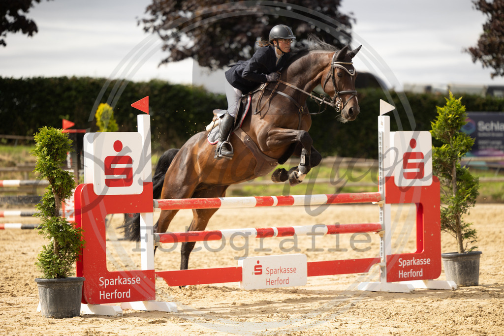 994A9074 | sabrinanicolaifotografie - Realisiert mit Pictrs.com