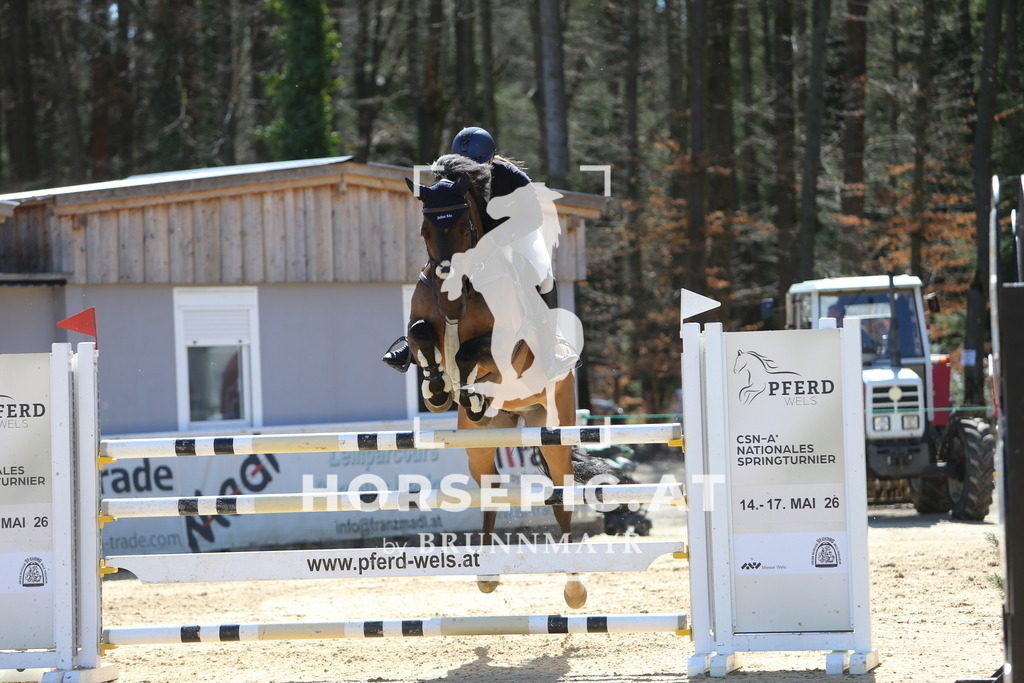 DL2Q5282 | Willkommen bei Brunnmayr - Design & Fotografie – Ihrem Spezialisten für Reitturniere und Pferdeveranstaltungen in Oberösterreich, Salzburg und Bayern! Seit über 17 Jahren sind wir leidenschaftlich dabei.