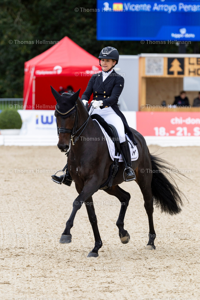 TH_370_ 370-NIELSEN Victoria (GER)_ Prinzessin Paula_21744 | CHI Donaueschingen 2024 am 14.09.24 in Donaueschingen, 370, 370NIELSEN Victoria (GER), Prinzessin Paula