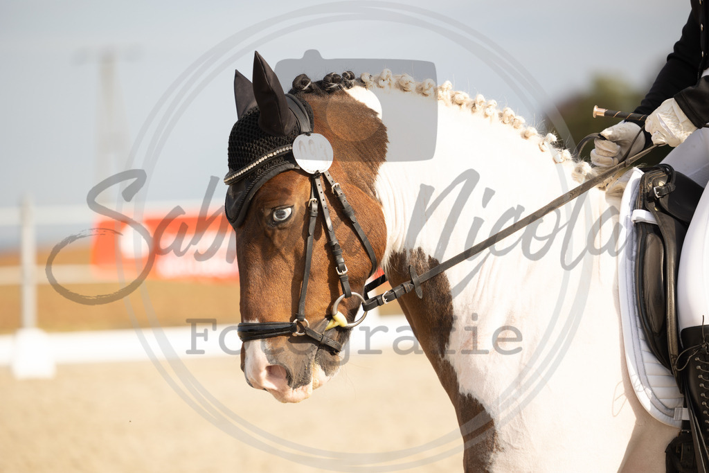 994A1013 | sabrinanicolaifotografie - Realisiert mit Pictrs.com