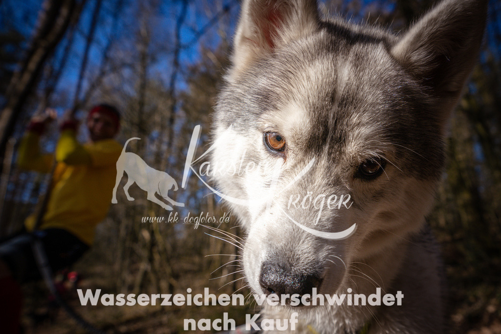 0917_ZZ97022 | kk-dogfotos