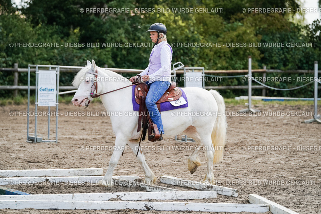 DSC07159 | Pferdegrafie