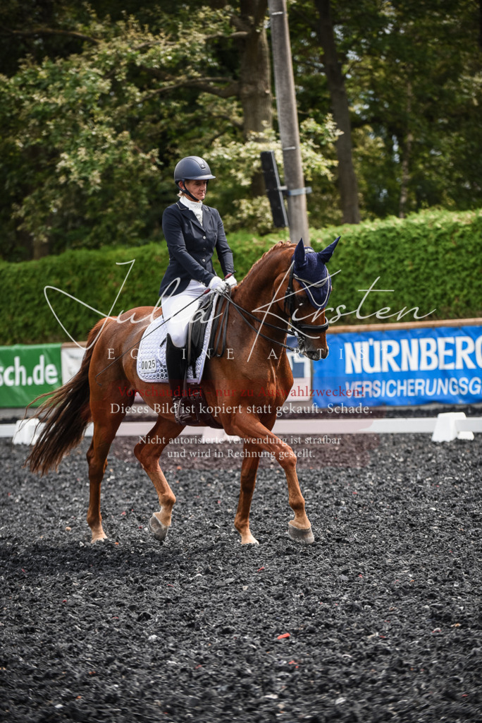 DSC_5016 | Pferde- und Turnierfotografie in Westsachsen. Pferdeportraits, Auftragszeichnungen und intuitive Kunst.