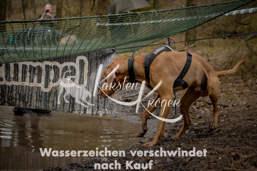 0925_ZZ97867 | kk-dogfotos