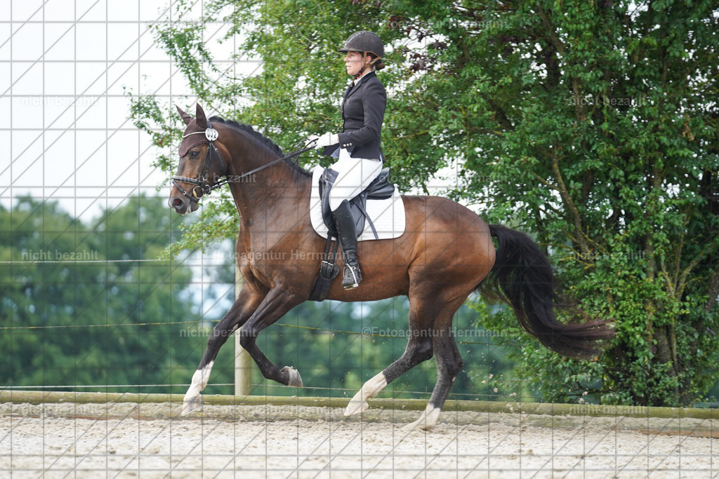 20230826-FAH04434 | Forstinning, 2023, Dressurturnier, Turniersportbilder, Turnierfotografen Bayern, Fotoagentur Herrmann, Reitsportfotografie, Turnierbilder