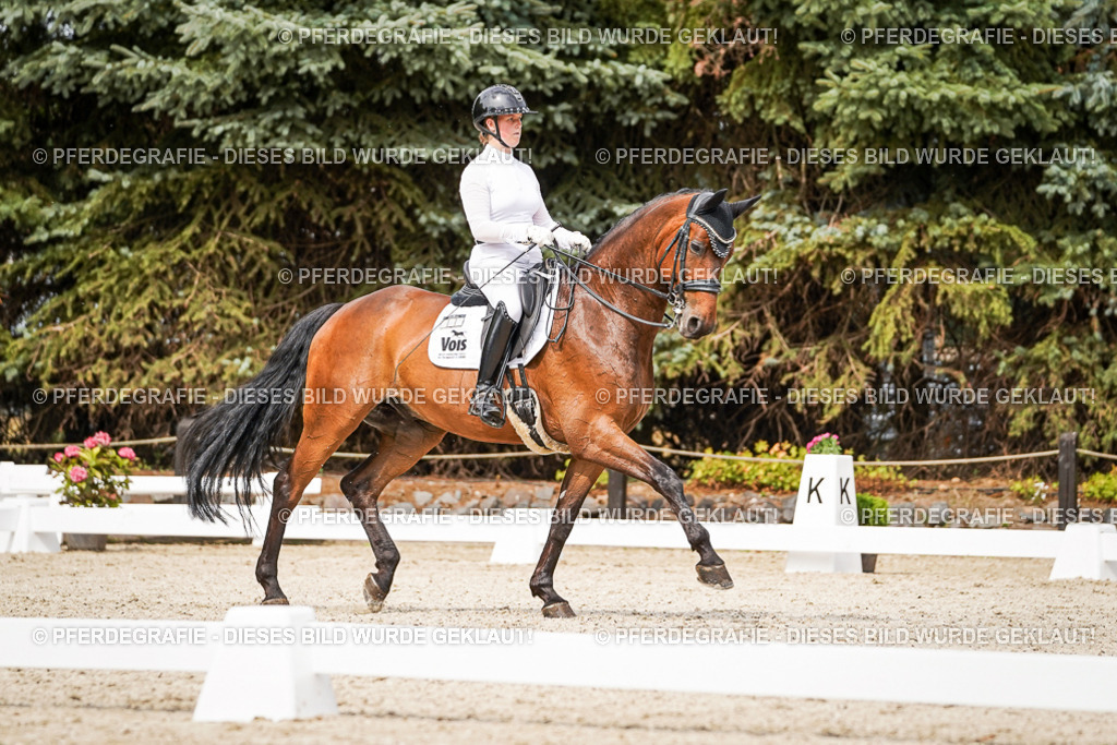 DSC06791 | Pferdegrafie