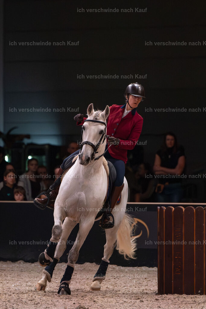 JoseraCup-167 | working equitationturnier fotograf videograf stoibphotography marixx film working equitation deutschland reitsport turnierfotografie eventfotografie equestrian events