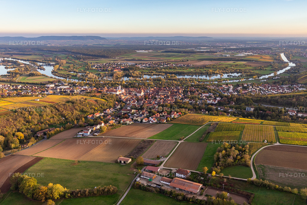 Luftbild: Altstadt am Main von Norden in Dettelbach im Bundesland Bayern in Deutschland. Foto: IMG_119696.jpg vom 26.10.2019 durch Werner Riehm/FLY-FOTO.de