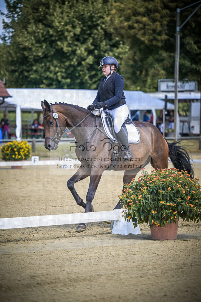 DOS_3346 | Entdecke hochwertige Reitturnierfotos von Foto Oger. Professionell, emotional und authentisch – jetzt Lieblingsmomente im Shop bestellen.Deutschlandweite Turnierfotografie. - Realisiert mit Pictrs.com